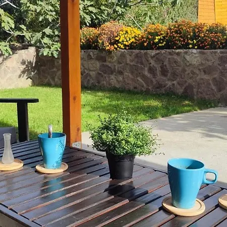 Villa Boom House Fruska Gora