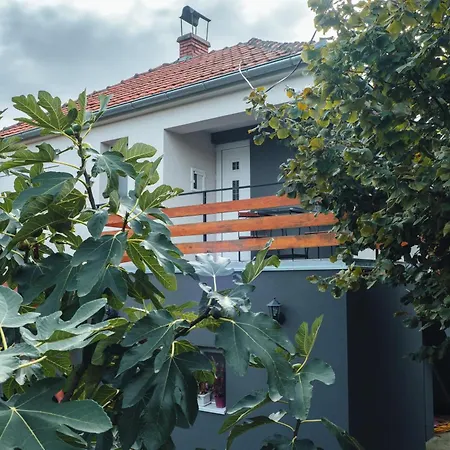 Boom House Fruska Gora *