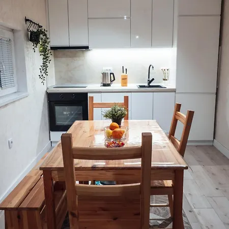 Boom House Fruska Gora Vila *