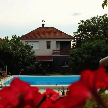 Boom House Fruska Gora Irig