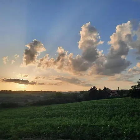 Boom House Fruska Gora