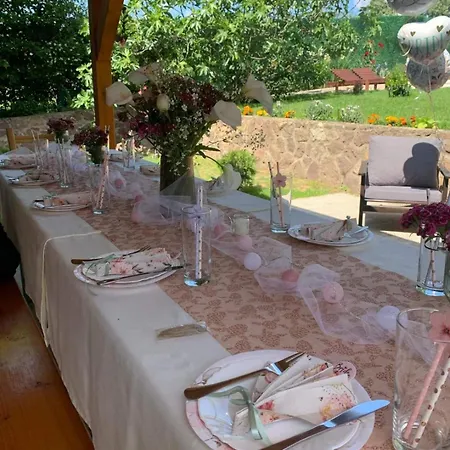 Boom House Fruska Gora Villa Irig