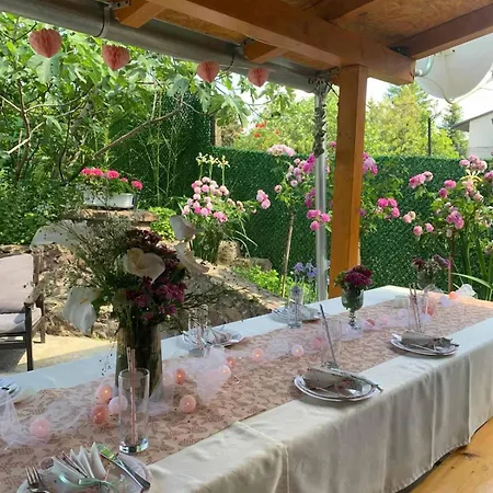Boom House Fruska Gora Villa