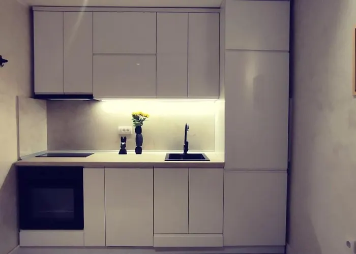 Boom House Fruska Gora *