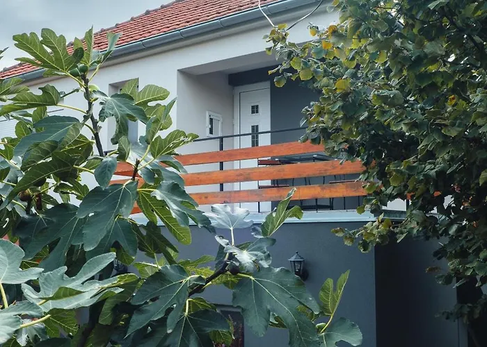 Boom House Fruska Gora *