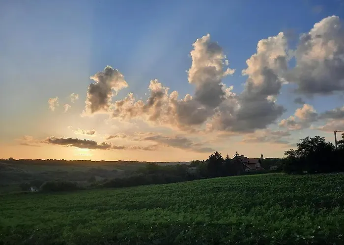 Boom House Fruska Gora