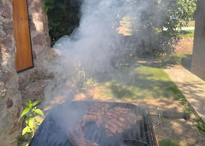 빌라 Boom House Fruska Gora Irig