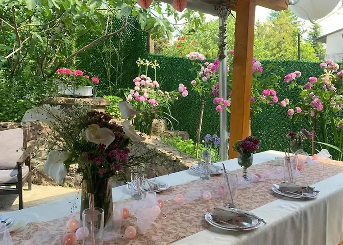 Boom House Fruska Gora 빌라